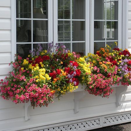 Cote'S Bed & Breakfast Grand Falls Bagian luar foto
